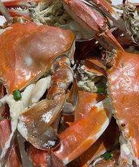 �������ʲô���óԵ�����з������Ϻ�������˻�