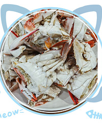 �������ʲô�����ڵ�����з���е��Ŷ