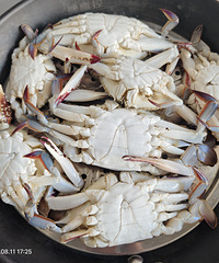 ����з���Ǽ��˰�