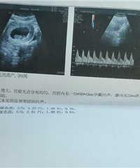 �ҵ������ռǡ�2024�����ռǡ�