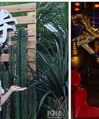 ������ȥ����