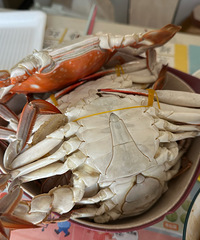 �������ʲô�����˵�һ������з��45Ԫ/�ﻹ����