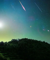 �����������ڽ�������̧ͷ����