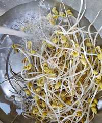 ��ƶ�ѿ�и���û�û���ã�