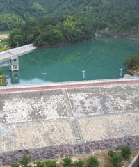 ȫʡ�ױ����ٺ��䷢�����š�����֤������