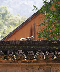 ��������˫����Ҫ����������ӱ�򿨽�������֮��