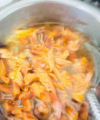 �������ʲô�����ŵ���֦���������������Գ���