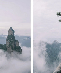 ���ɾӶ����ƺ������ع飬��˭���˶��Ķ���