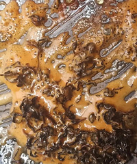 �������ʲô�����ƽ���â��������Բ�̲�