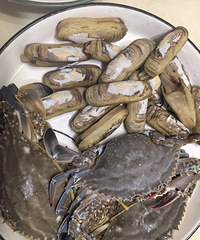 �������ʲô���������ʸ��