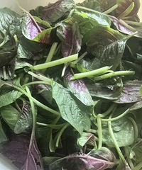 �������ʲô���캺�ˣ���ϲ����ɫ�����跹��