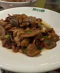 �������ʲô���������������ϣ���������Ϊ�ı�������