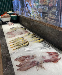 �������ʲô���ܵ��ɾӳ���һֻ��