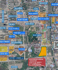 ��17����̨��һ��6�ڵؼ�������|������Ԥ��(08.19--08.25)