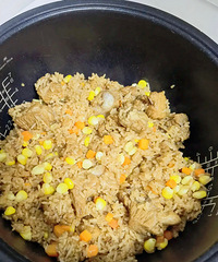 �������ʲô�����ܵ緹���Ź��˷�