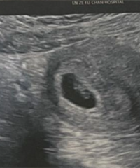 ӭ��������С��ʹ��2024�����ռǡ�