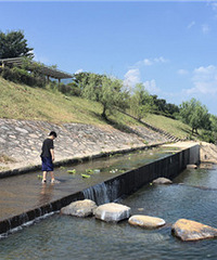 �ɾ���������ˮ����