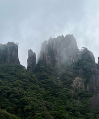 �����������µġ���ʤ�����������������塱