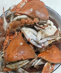 �������ʲô��40һ�������з����