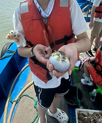 �㽭С�ﻨ1000������������㣬׬���ˣ��ܶ�����ֱ����ȥ