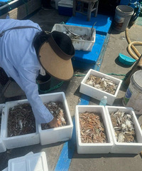 �㽭С�ﻨ1000������������㣬׬���ˣ��ܶ�����ֱ����ȥ