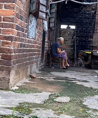 �������ϵ����������һ�굽ͷ��û����������