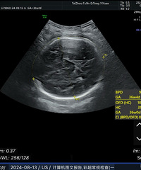 �ڴ��ҵ���������2024�����ռǡ�