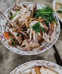 �����ʺ��³�