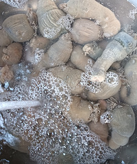 ��ϴ̫�鷳��