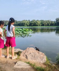 �Ų��ţ���Щ����һ���ʹ���