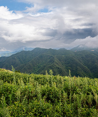 ����ɽ�����쾰ɫ������ʱɽ��Ҳ���Ǻ���