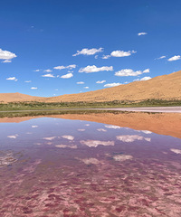 �͵���������ɳĮ