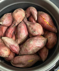 �������ʲô�����Ϸ���������ţ�̣��ǲ��Ǻ�Ӫ��