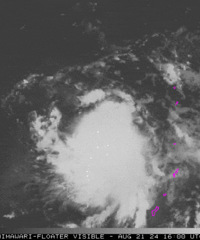 ̨�硰ɺɺ���������ɣ�·�������δ����������Ԥ��