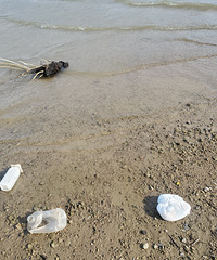 Ϫ��ˮ��Դͷ*�°�Ӧ��ֹҰ���տ����;�ƿ-����ƿ������