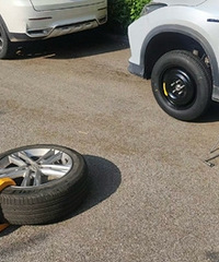 ��������о���ţ�أ�����Ҳ����