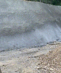 �ױ��ɹ���