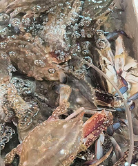 ̨�ݵ�С������Ǿ��ý�����з����