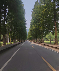 ��������֮����ƪ�����ɽ��һ��ʧ����������֯���۵�֮��