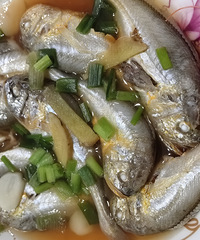 �������ʲô��÷ͯ��������18һ��