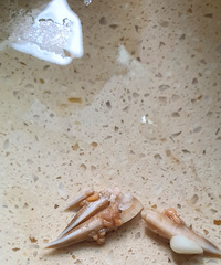 �з���������������Ǽ����滹�����̻��Ǳ��죿