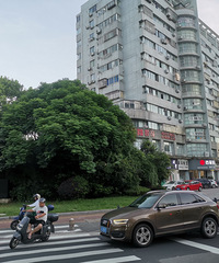 �����˴�·��ÿ��·������Ũ�صķ��ζ