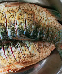 �������ʲô����һ�����ƿ��㣬�����Լ���ͦ������