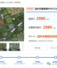 2980��������������򶫴�RH071201�ؿ�ɽ����������վ