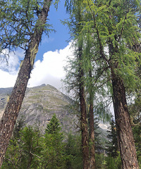 ��������֮����ƪ��˫�Ź����֮�ã����˴����ɾ�