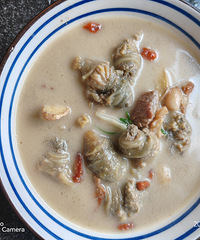 �������ʲô������С�š�ɳ��������з