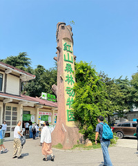 ��ɽɭ�ֶ���԰�����е�ʧ������Ҫ����̫����