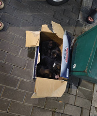 ������ƽС���Ϲ���վ������һ�ѱ������Ĺ���