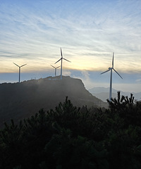 �㽭̨���ٺ�������ɽ���Ͽ��ճ�