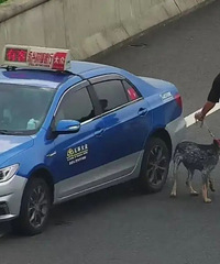 �·�̨�ݣ�һ���⳵˾���ڸ�����ǣ�Ź������ϻ����ų˿�